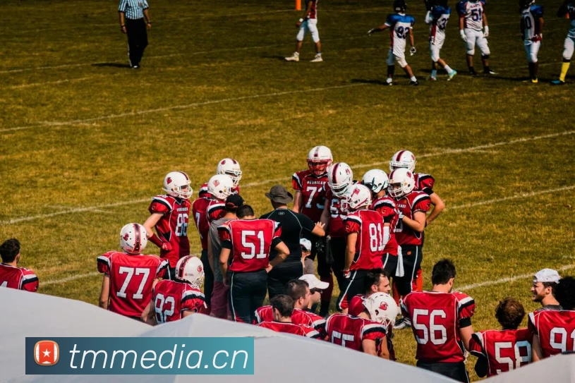 App Interface Preview